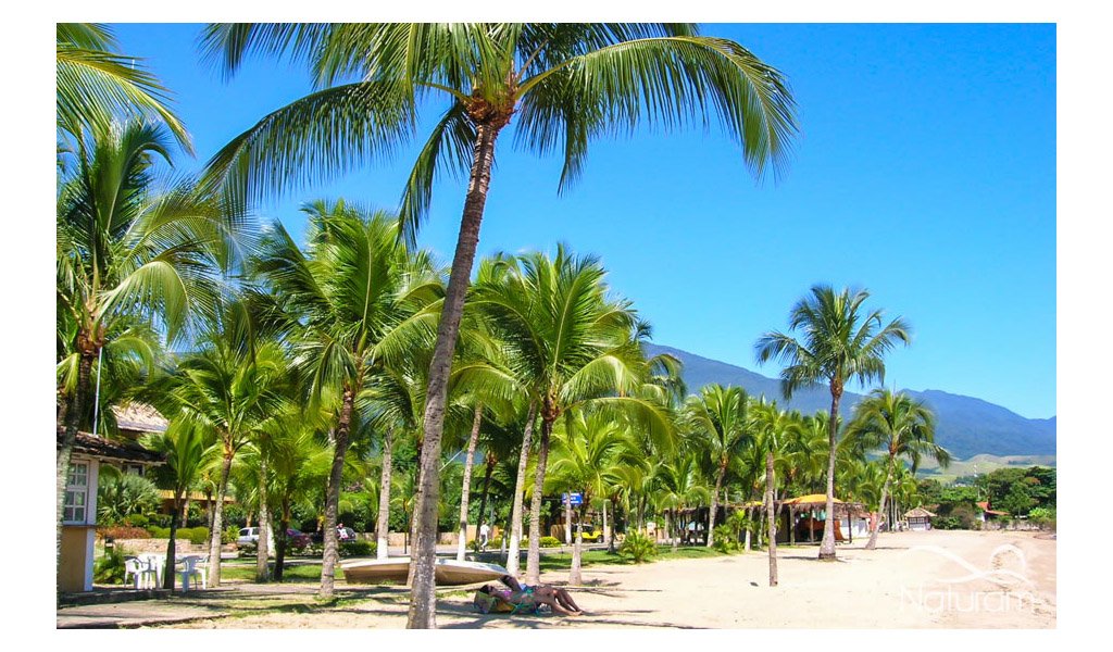 ubatuba3